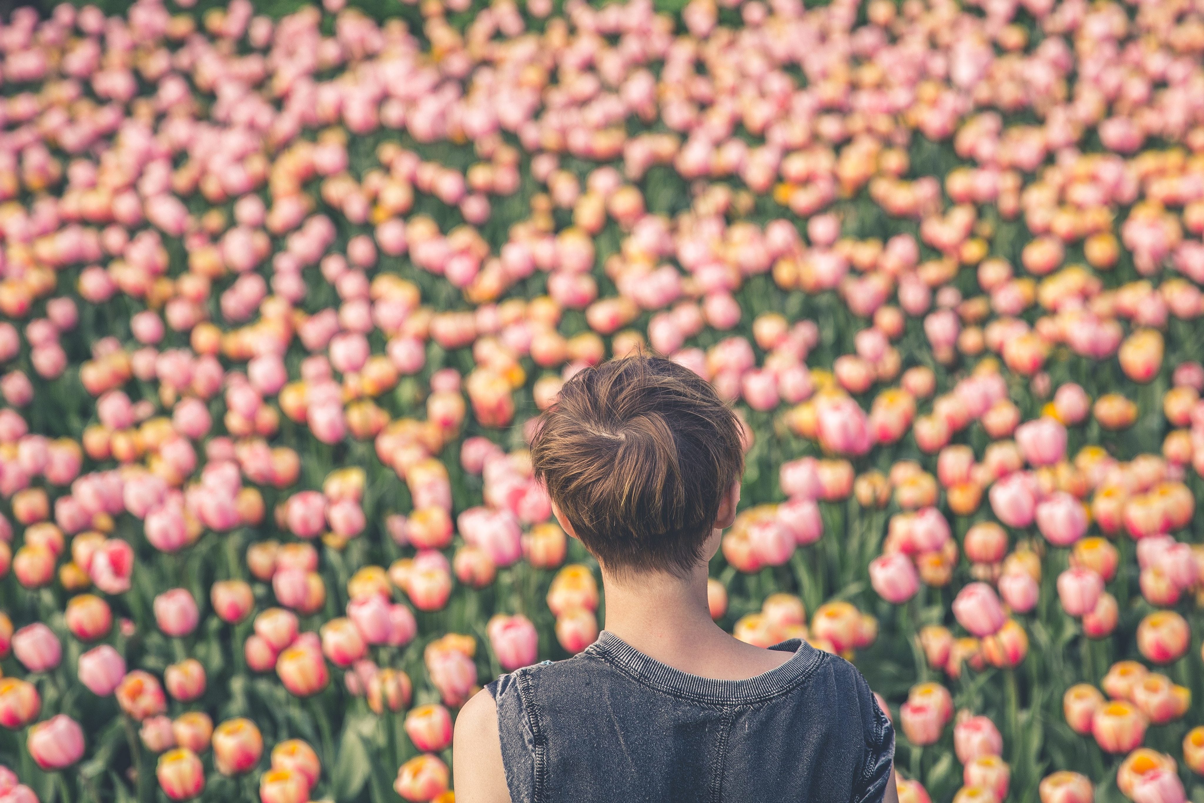 files/woman-viewing-tulips.jpg